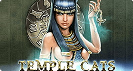 Флагман казино temple cats